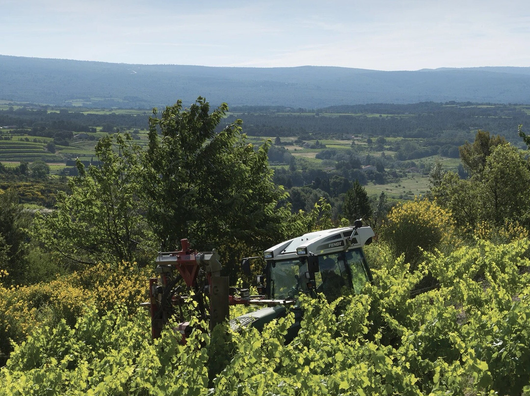 Domaine Mur-mur-ium