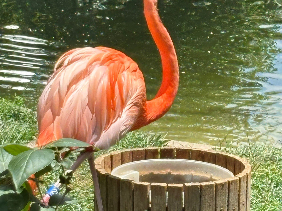 Indianapolis Zoo-印第安纳波利斯必去景点