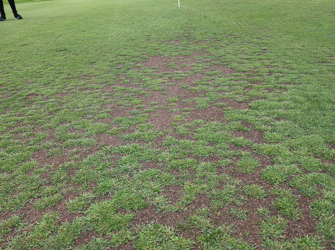 Superior National Golf Course-Lutsen必去景点