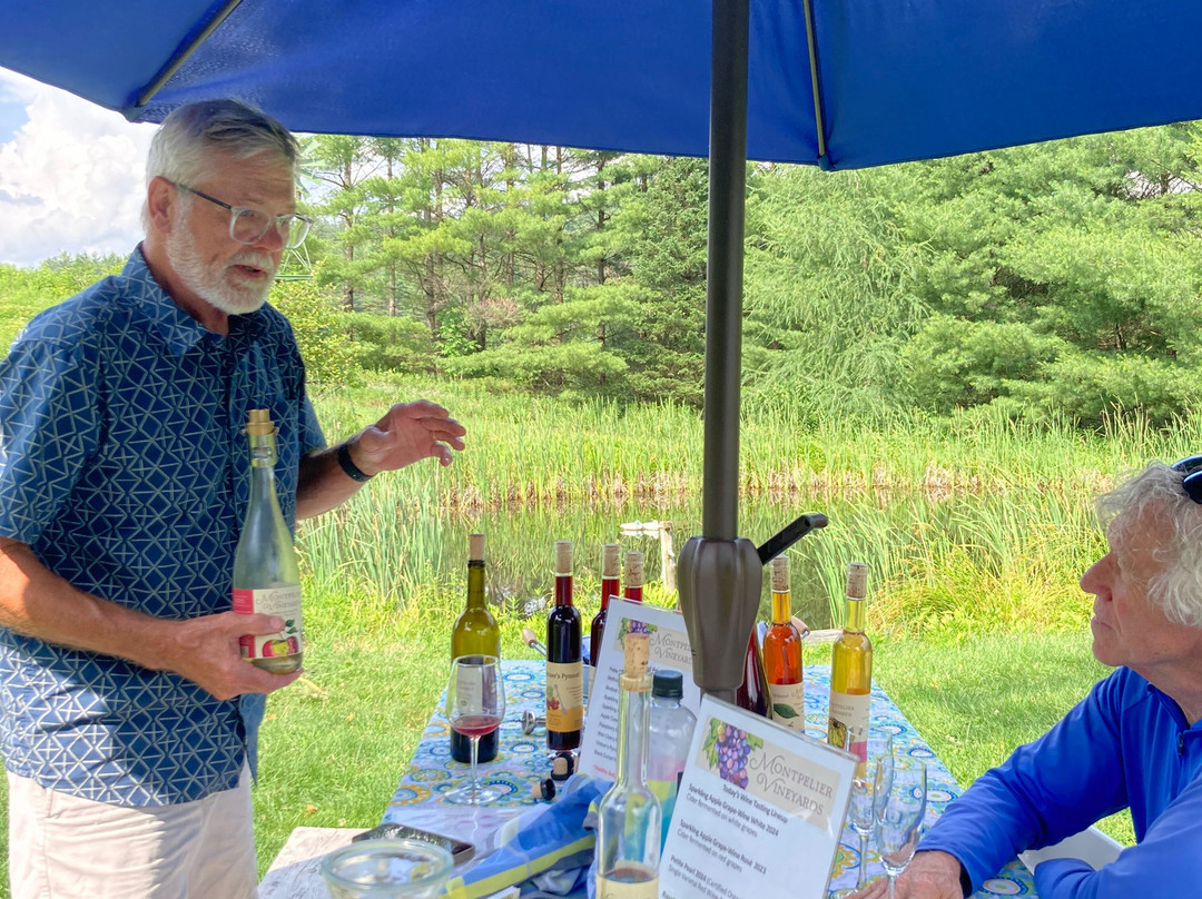 Montpelier Vineyards-蒙彼利埃必去景点