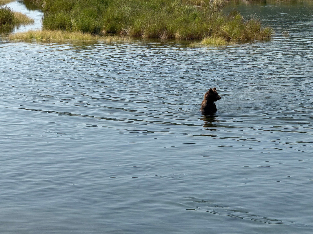 Brooks River-卡特迈国家公园及自然保护区必去景点