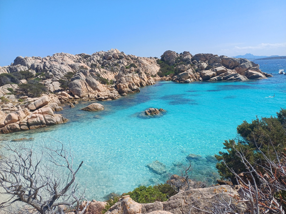 Spiaggia di Cala Coticcio-拉马达莱娜必去景点