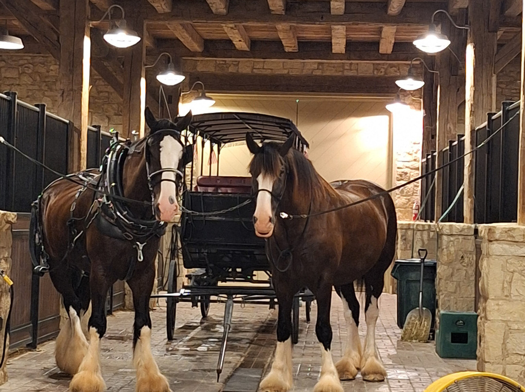 Hermann Farm-赫曼必去景点