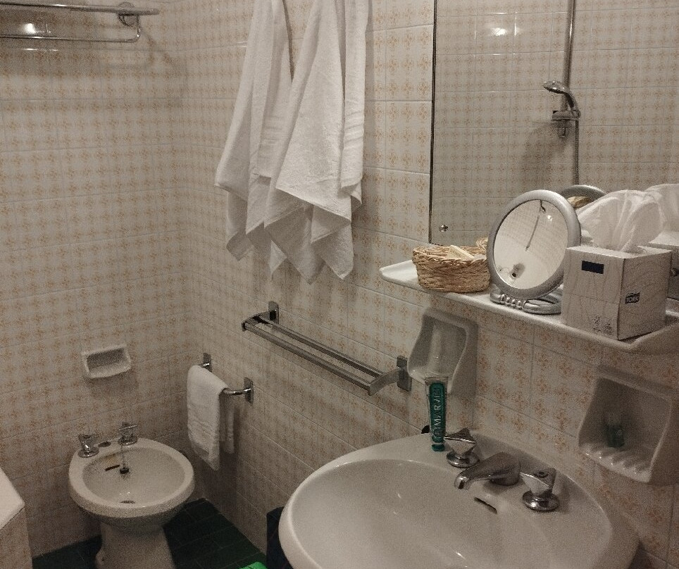 Hotel Des Alpes主图