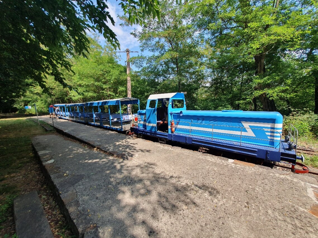 Train de l'Andorge en Cevennes