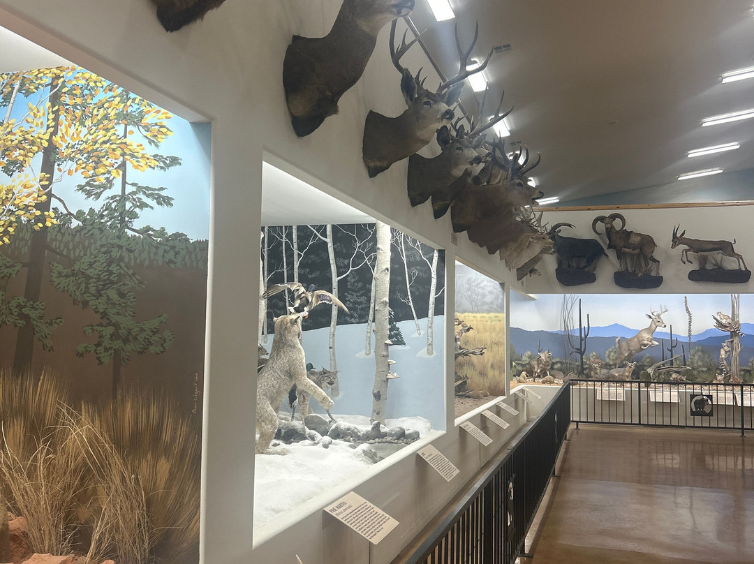 Bryce Wildlife Adventure-布莱斯必去景点