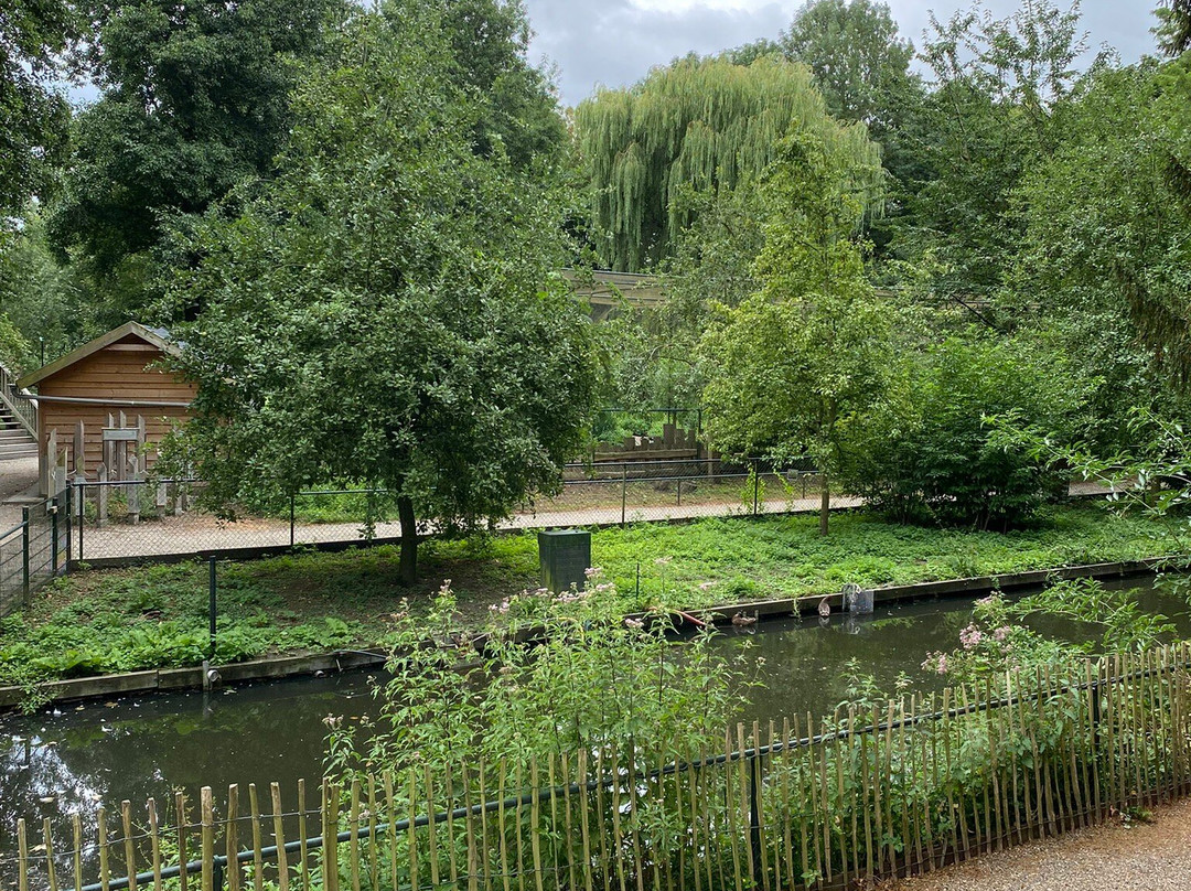 Kasteelpark Born-Born必去景点