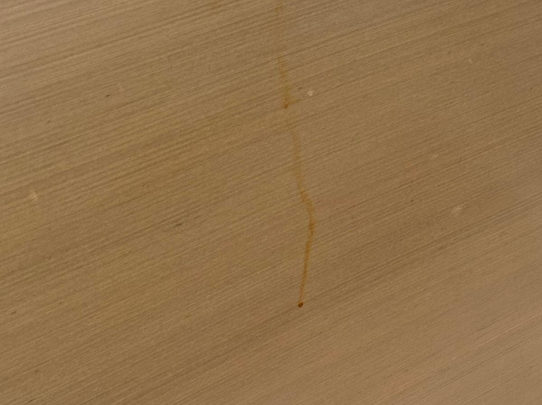 户撒马斯卡马雷纳酒店主图