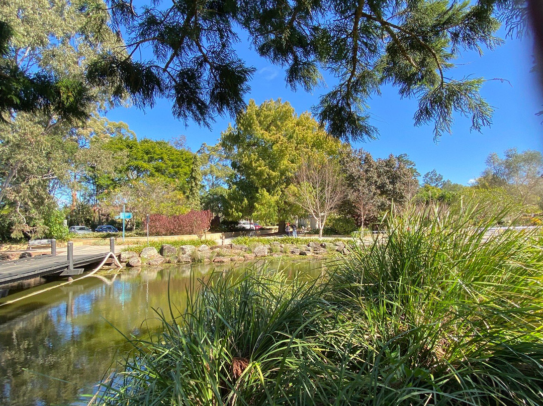 Gold Coast Regional Botanic Gardens-Benowa必去景点