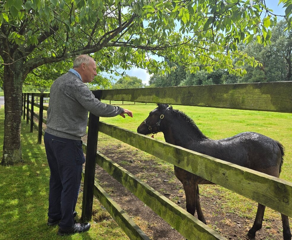 Bronze & Boru-利默里克必去景点