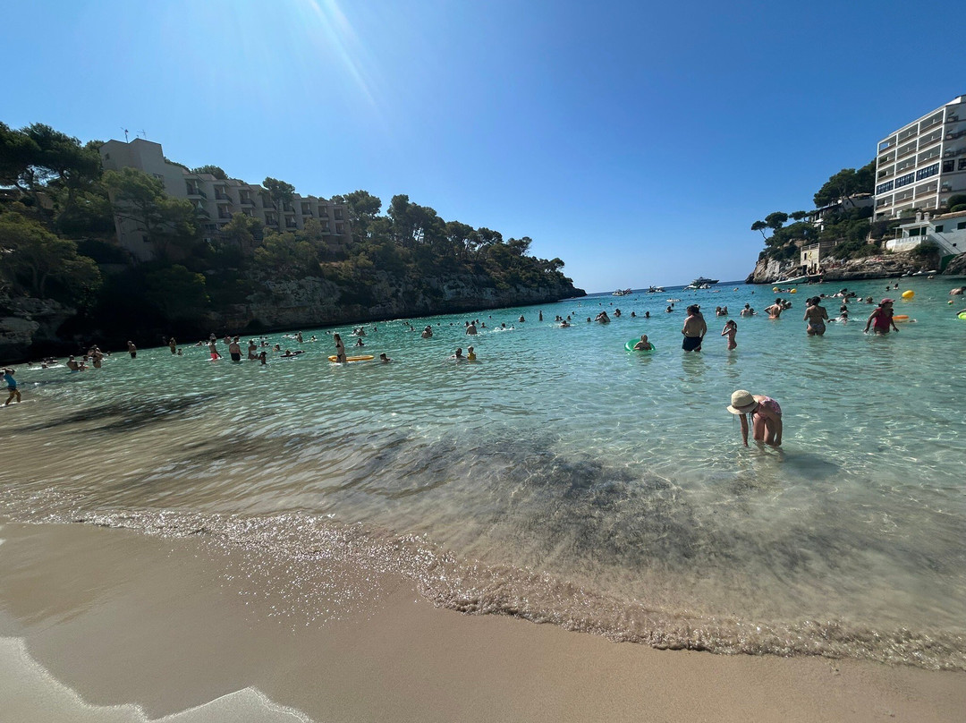 GoFurGo Mallorca-马洛卡帕尔马必去景点