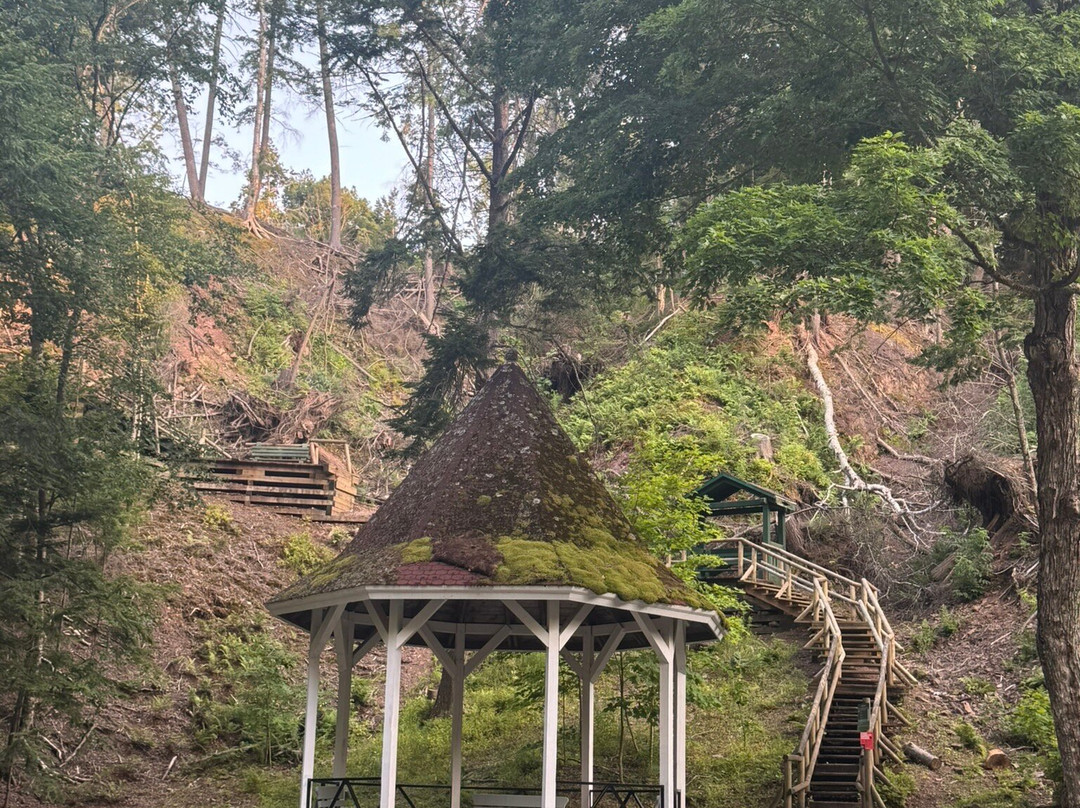 Victoria Park-Truro必去景点