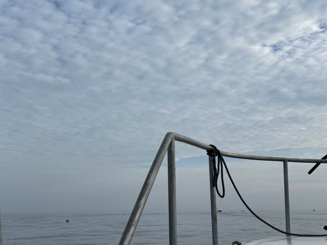 Tours El Pingüino-Organos必去景点