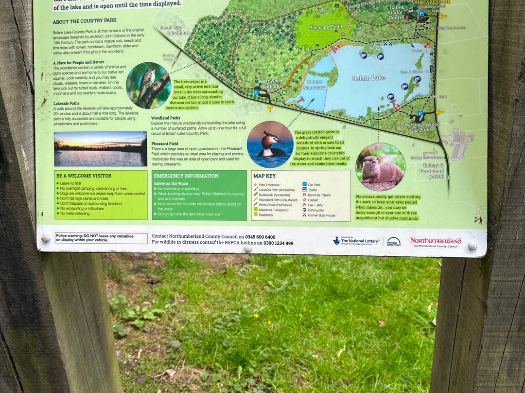 Bolam Lake Country Park-Belsay必去景点