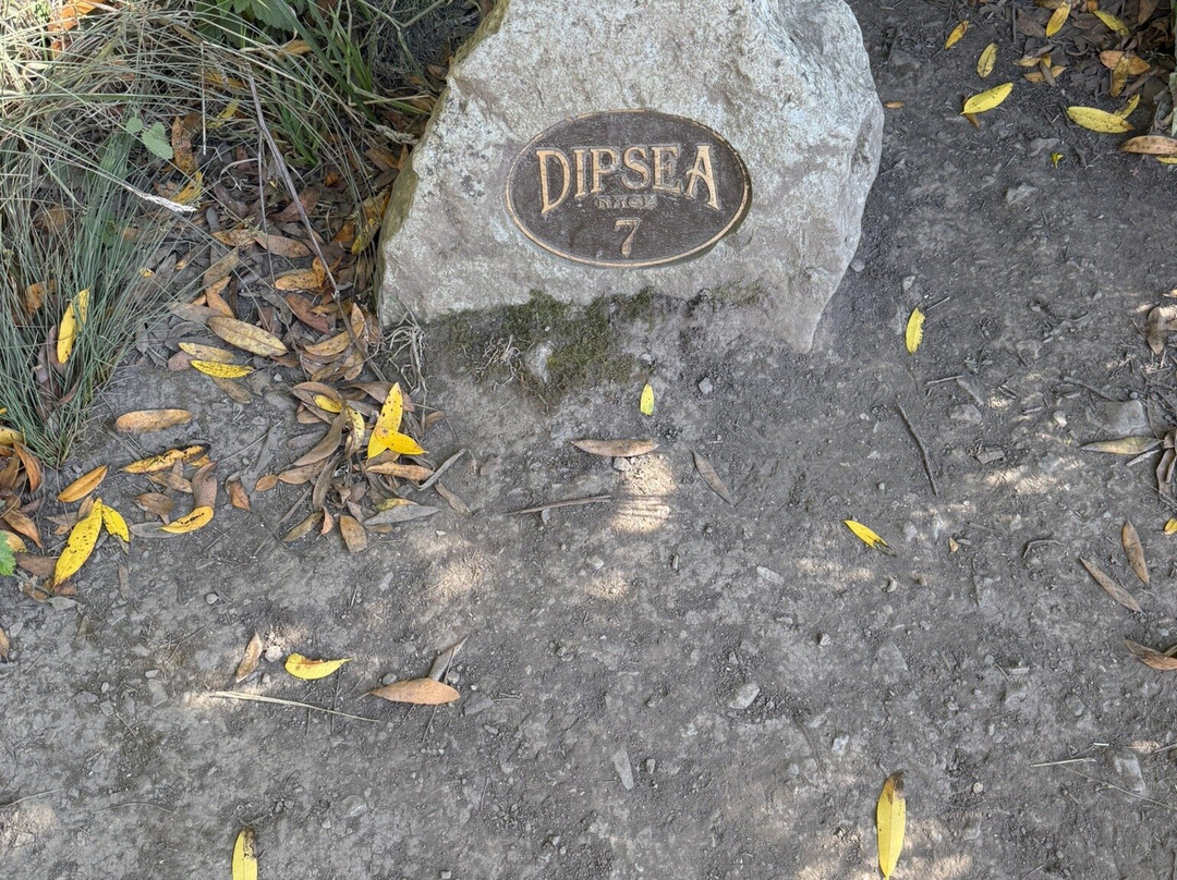 Dipsea Trail-米尔谷必去景点