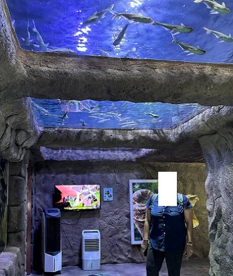 The Shore Oceanarium-马六甲必去景点