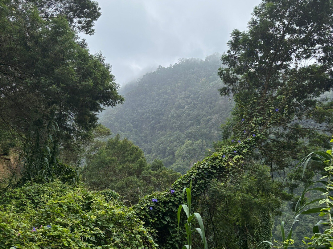 Levada do Castelejo-马希科必去景点