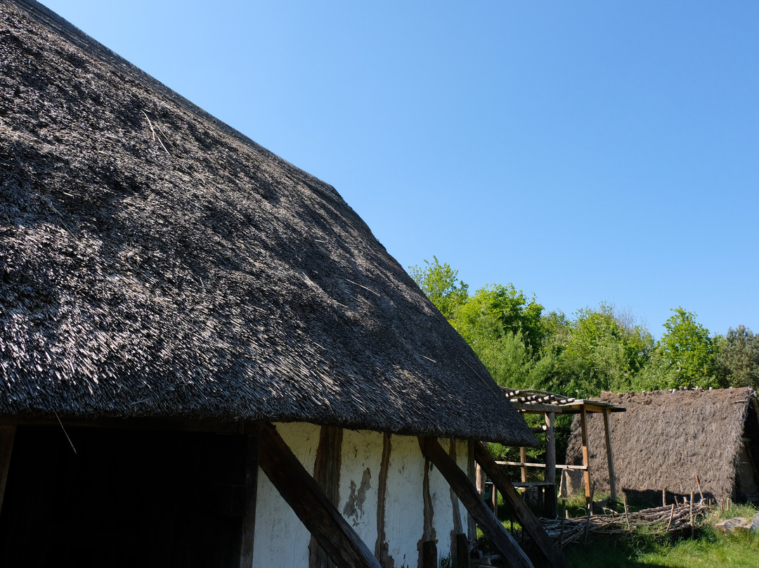 Jarrow Hall Anglo-Saxon Farm, Village and Bede Museum-Jarrow必去景点