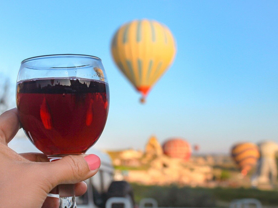 Door to Door Concierge-阿德莱德必去景点