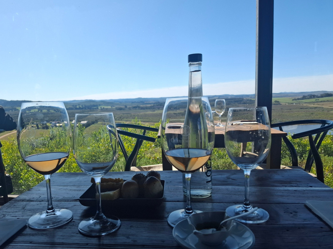 Bodega Cerro del Toro