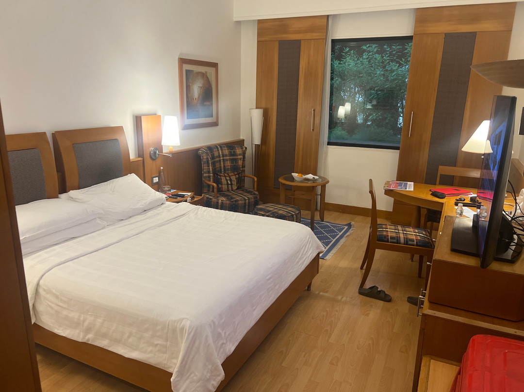 特力登钦奈酒店主图