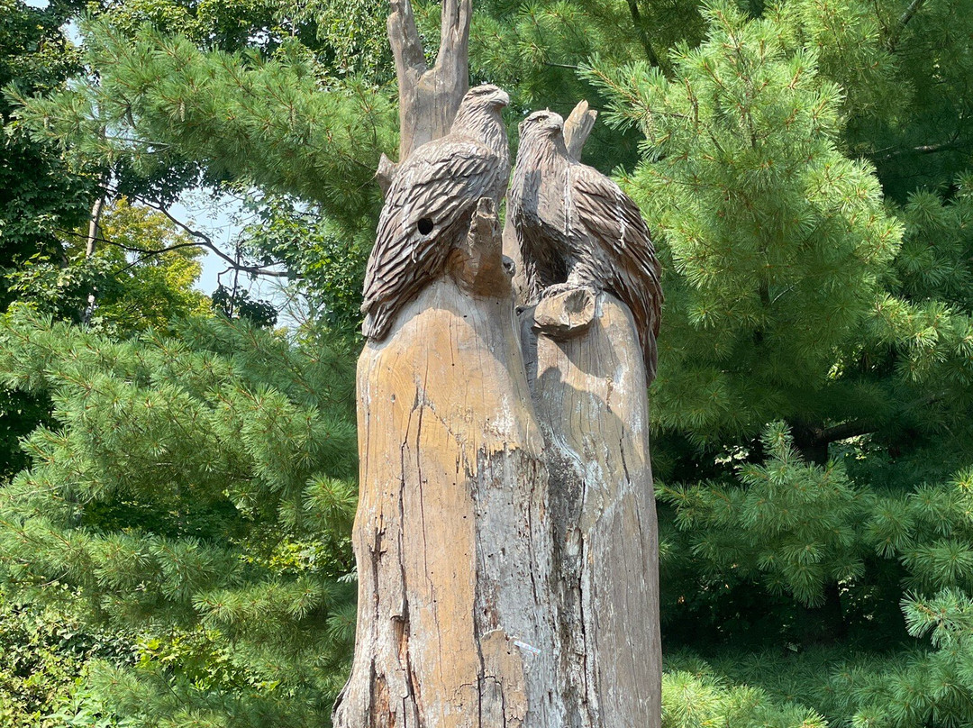 The Riverwood Conservancy-米西索加必去景点