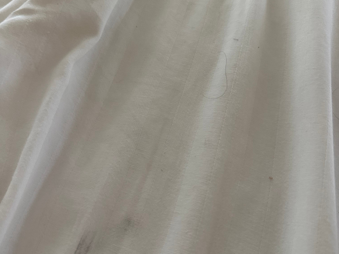 Sonesta ES Suites Chicago - Schaumburg主图