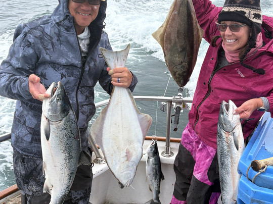 Alaska Coastal Explorer-苏厄德必去景点