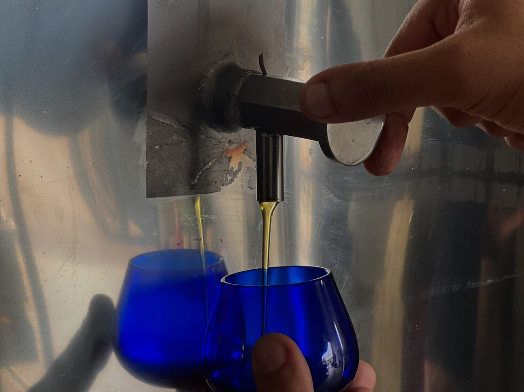 Olive Oil Experience Crete-Peza必去景点