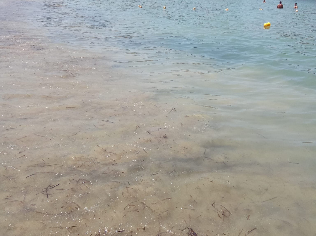Iguana Beach-Agii Apostoli必去景点