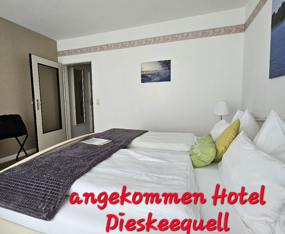 Hotel Diekseequell主图