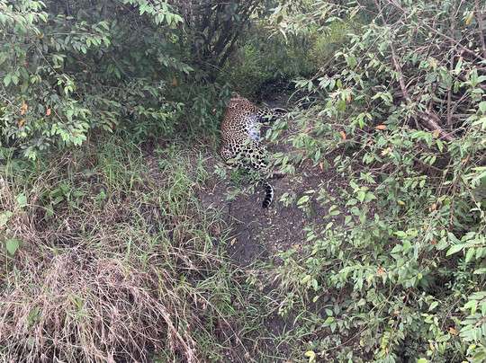 Grivet Tours And Safaris-马林地必去景点