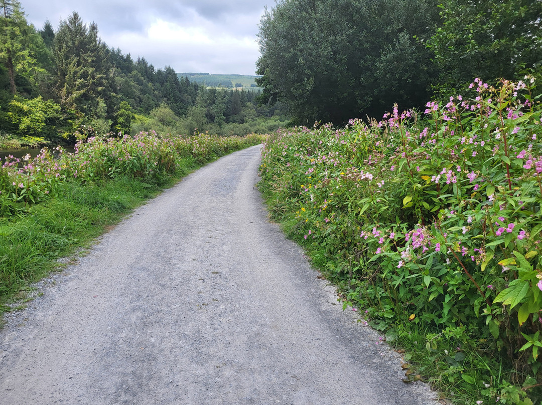 St Mullins Camping