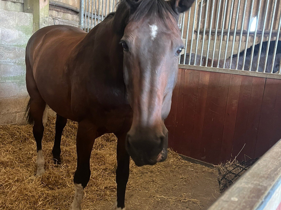 Whitehall Farm Accommodation主图