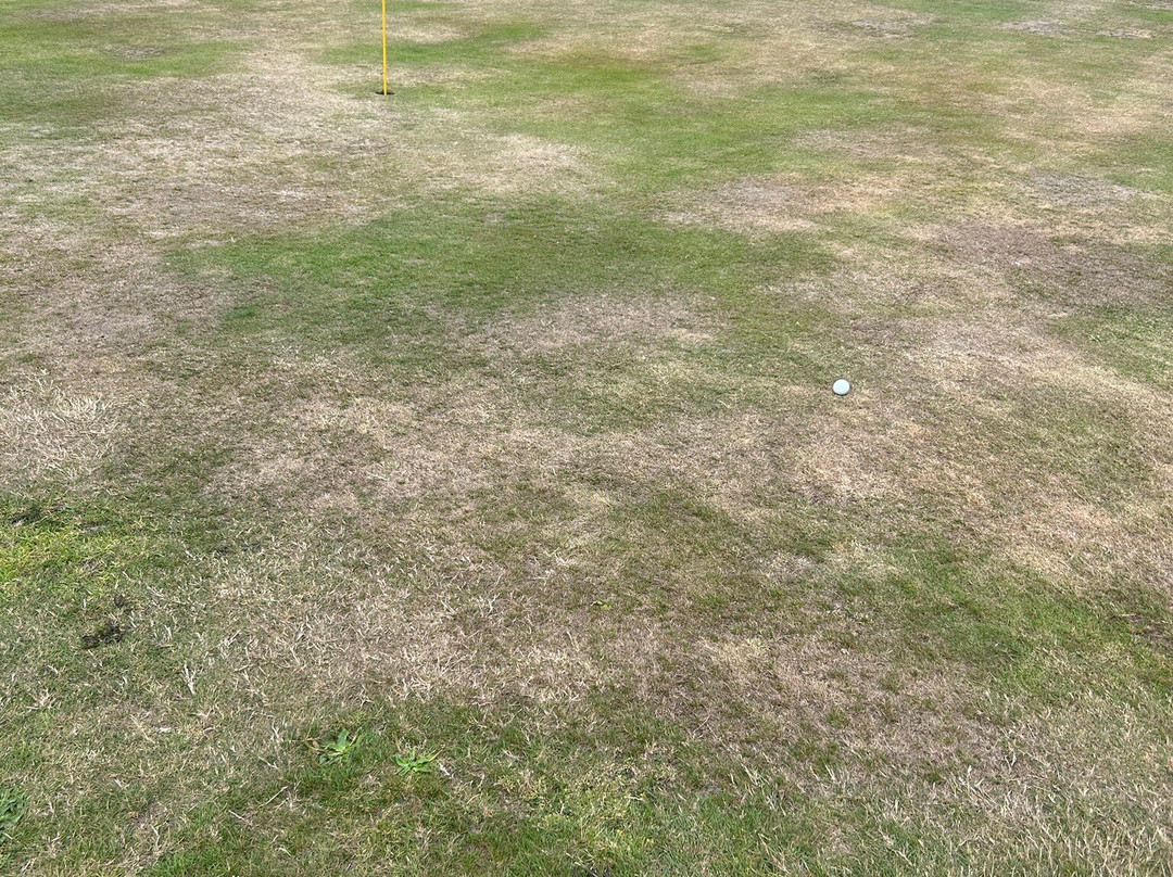 York Golf Range-约克必去景点