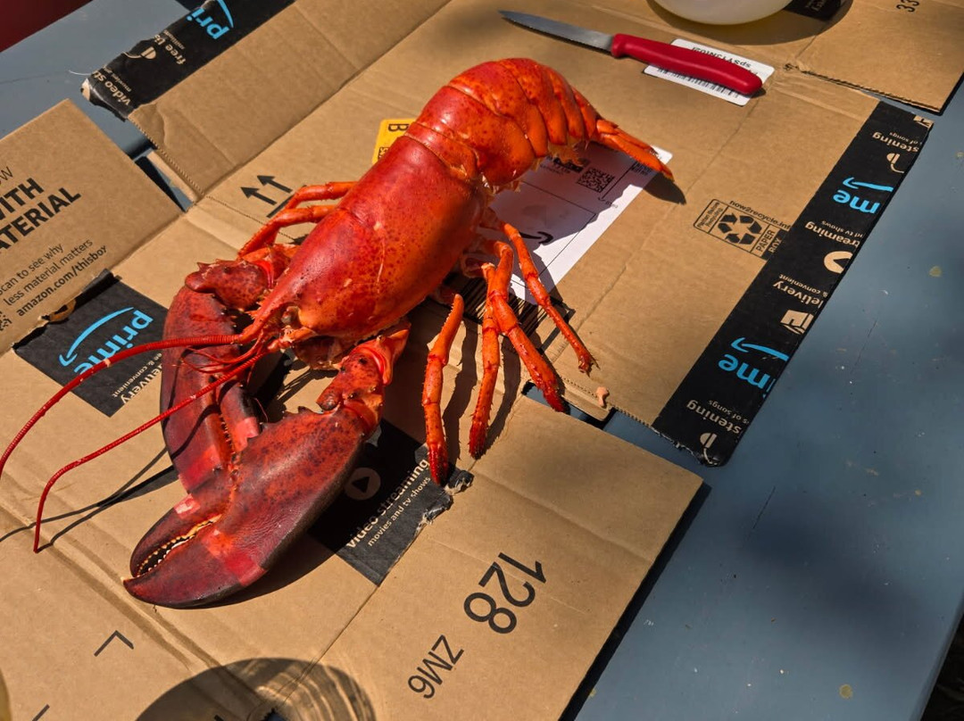 The Hungry Lobster