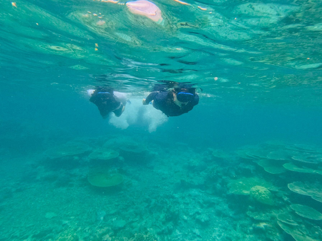 IRIOMOTE ADVENTURE PiPi-竹富町西表岛必去景点