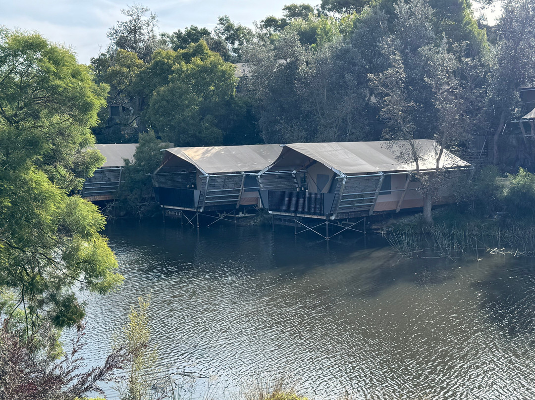 Metung Hot Springs-Metung必去景点