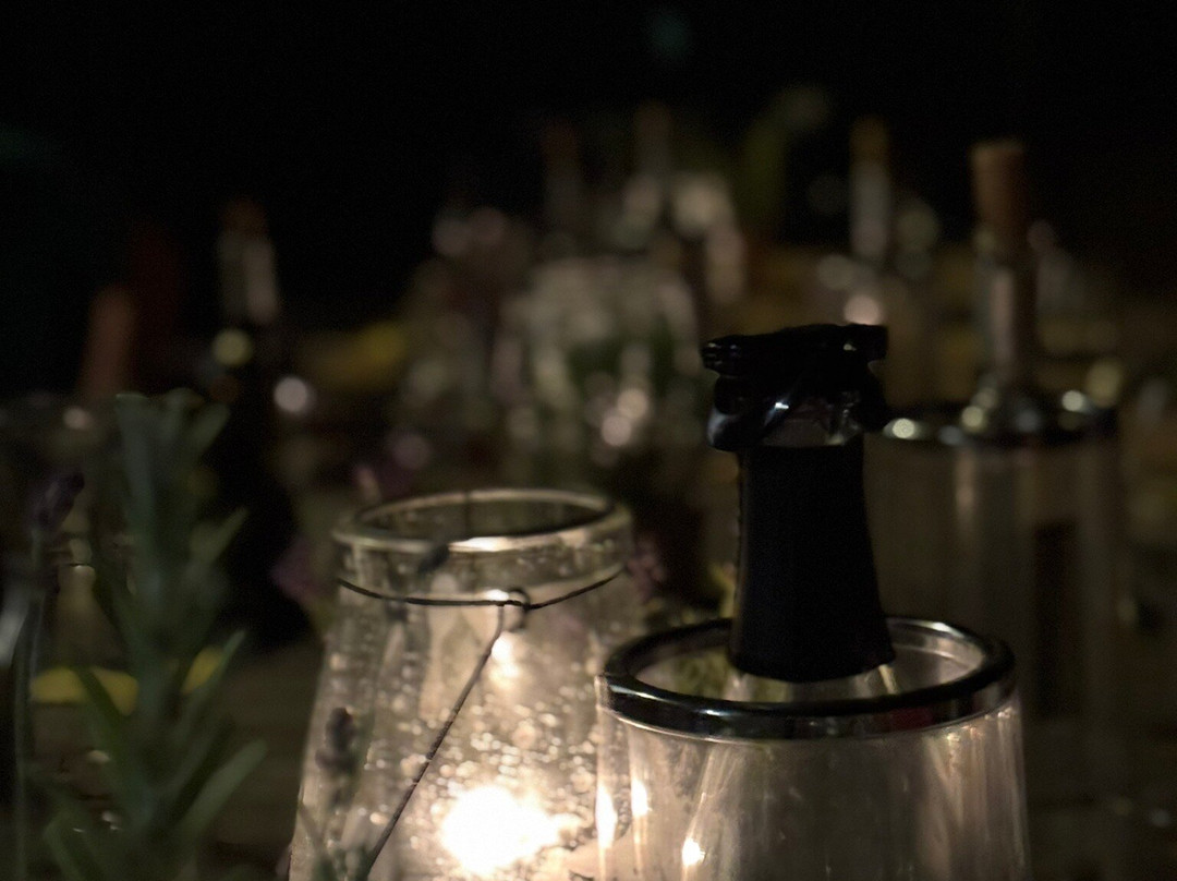 Vandenbeld Wines B&B主图