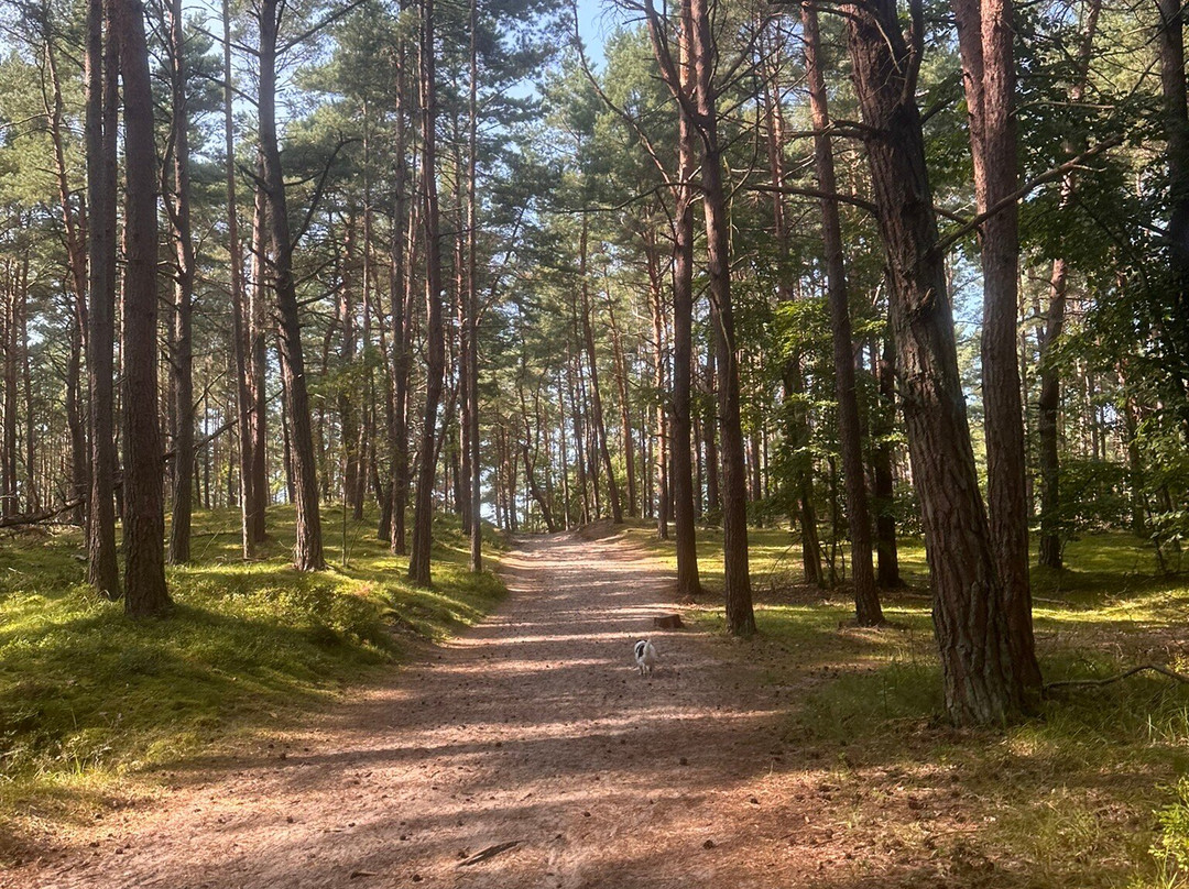 Rezerwat "Katy Rybackie"-Katy Rybackie必去景点