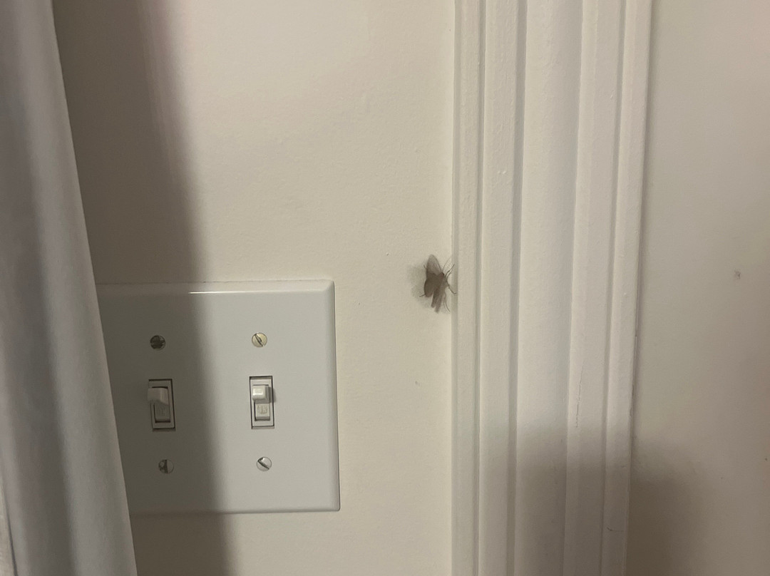 Domaine Belle Plage主图