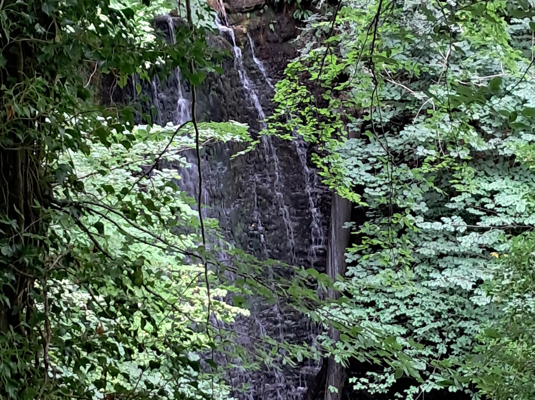 Falling Foss Tea Garden And Waterfall-惠特比必去景点