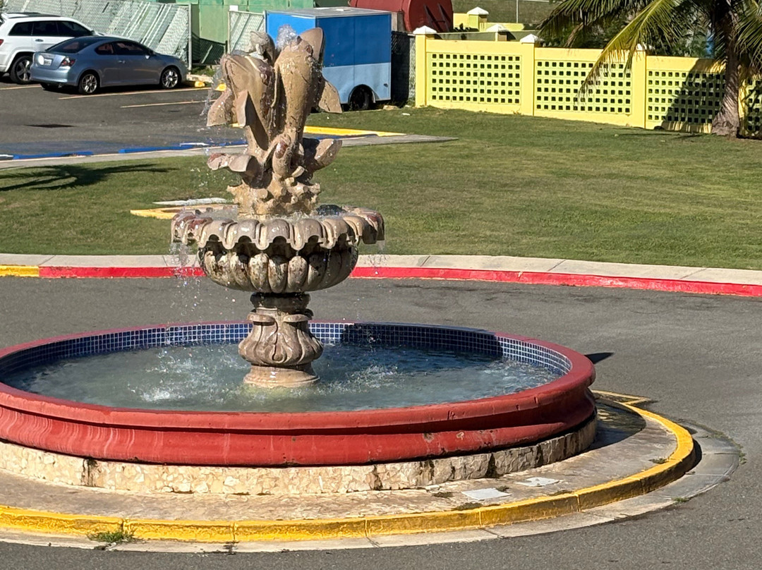 Hotel Punta Maracayo主图