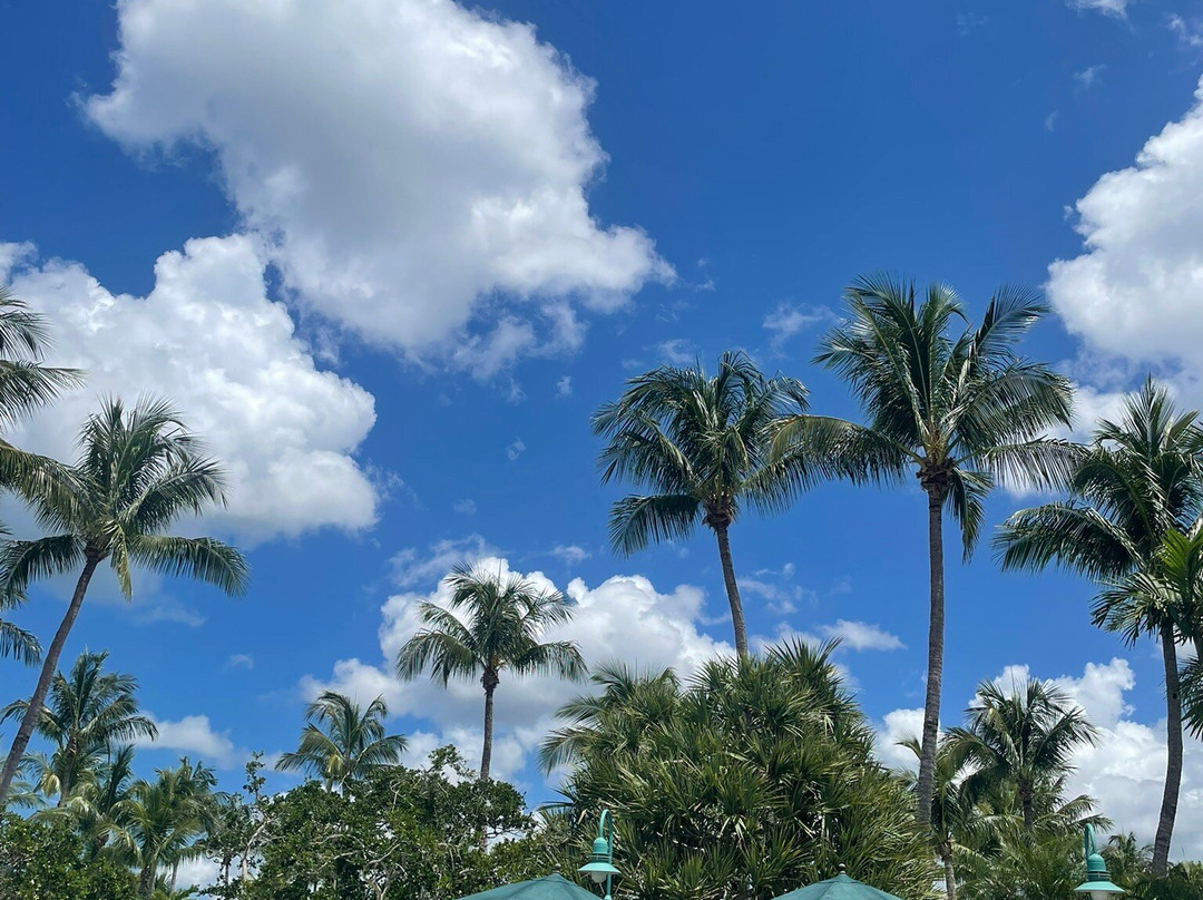 椰子园凯悦酒店主图