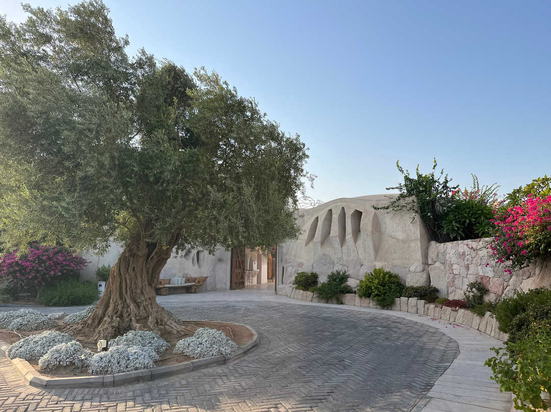 Mama Gaia Beach Club-亚喀巴必去景点