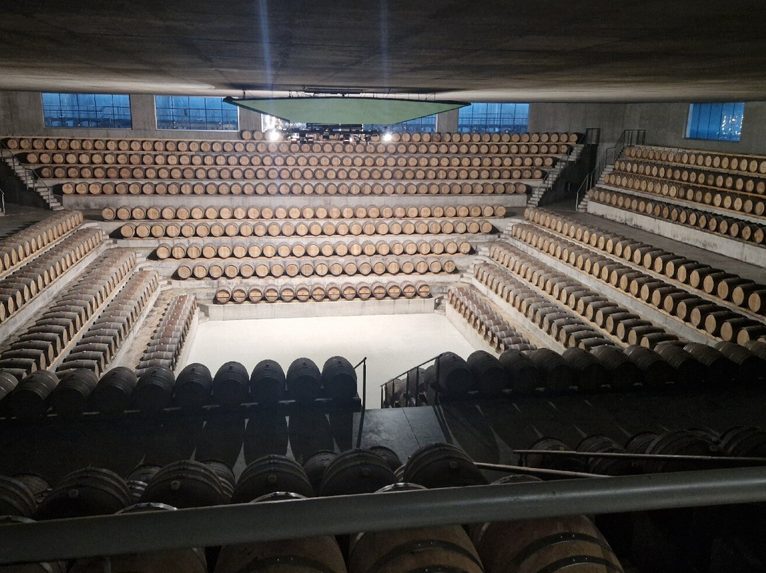 Cantina Rocca di Frassinello-格罗塞托必去景点
