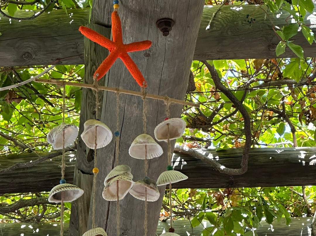 Yakamoz Restaurant & Pension主图