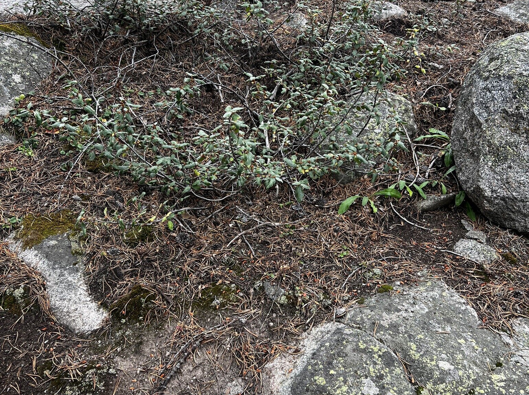 Leadville National Fish Hatchery-Leadville必去景点