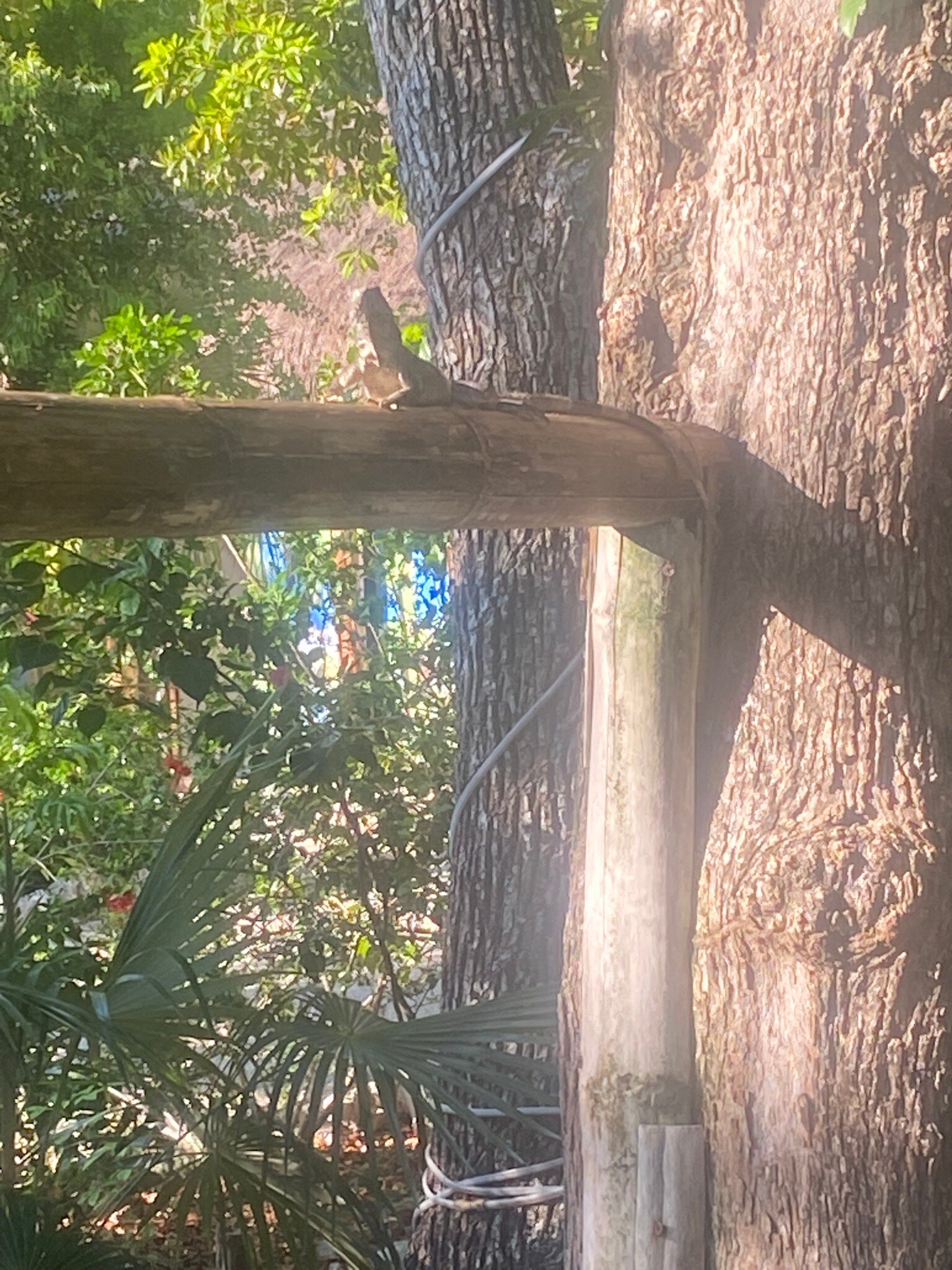 Maya Eco Village-官方