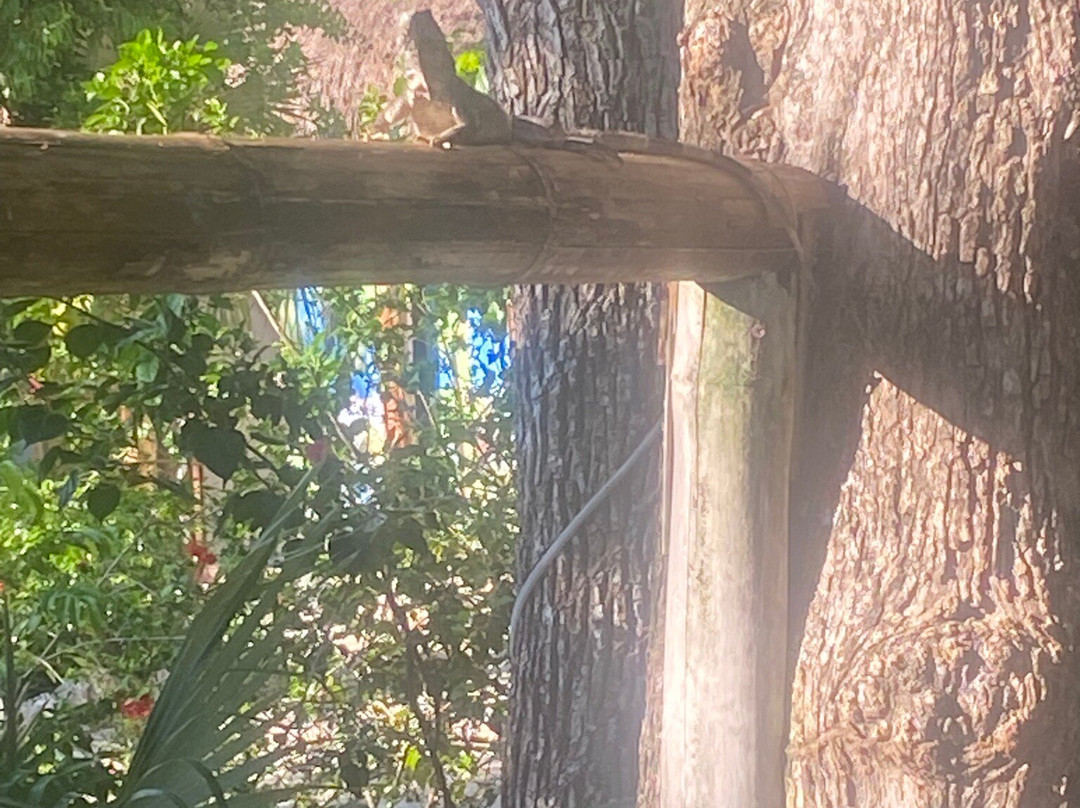 Maya Eco Village主图